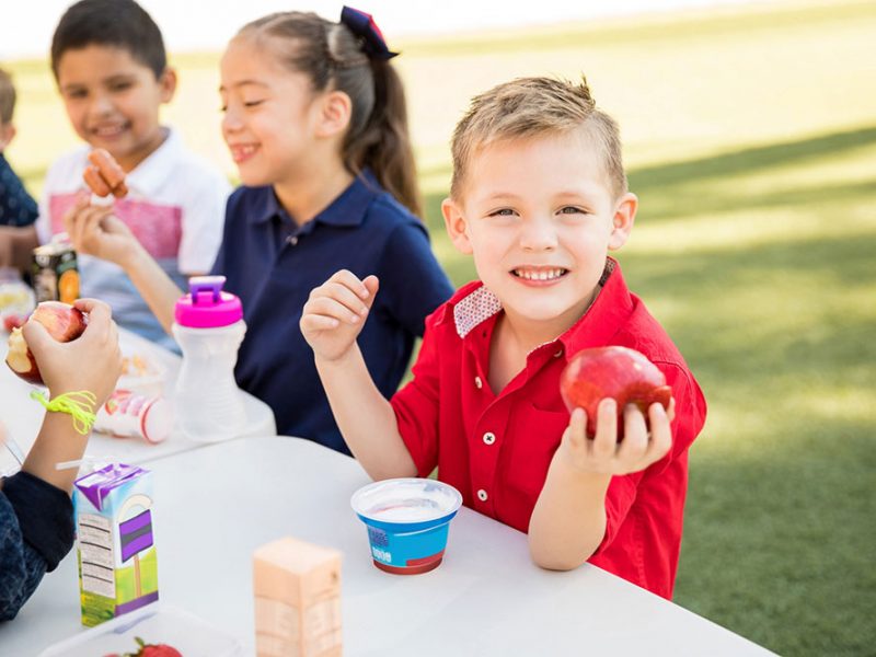 Image of some children on a picnic eating fruit and snack